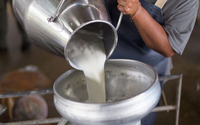 «Φρένο» στις ελληνοποιήσεις γάλακτος και στη νοθεία φέτας από Αυγενάκη – Σκρέκα